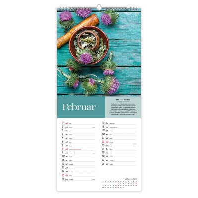 ŠČEPEC ZDRAVJA (zelišča z opisi)