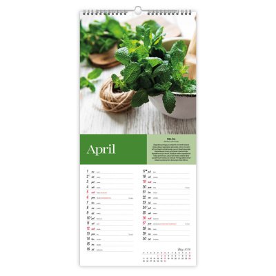 ŠČEPEC ZDRAVJA (zelišča z opisi)