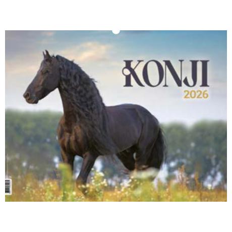 Konji