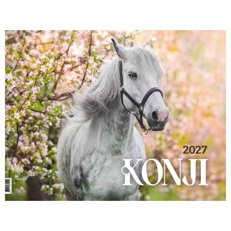 Konji